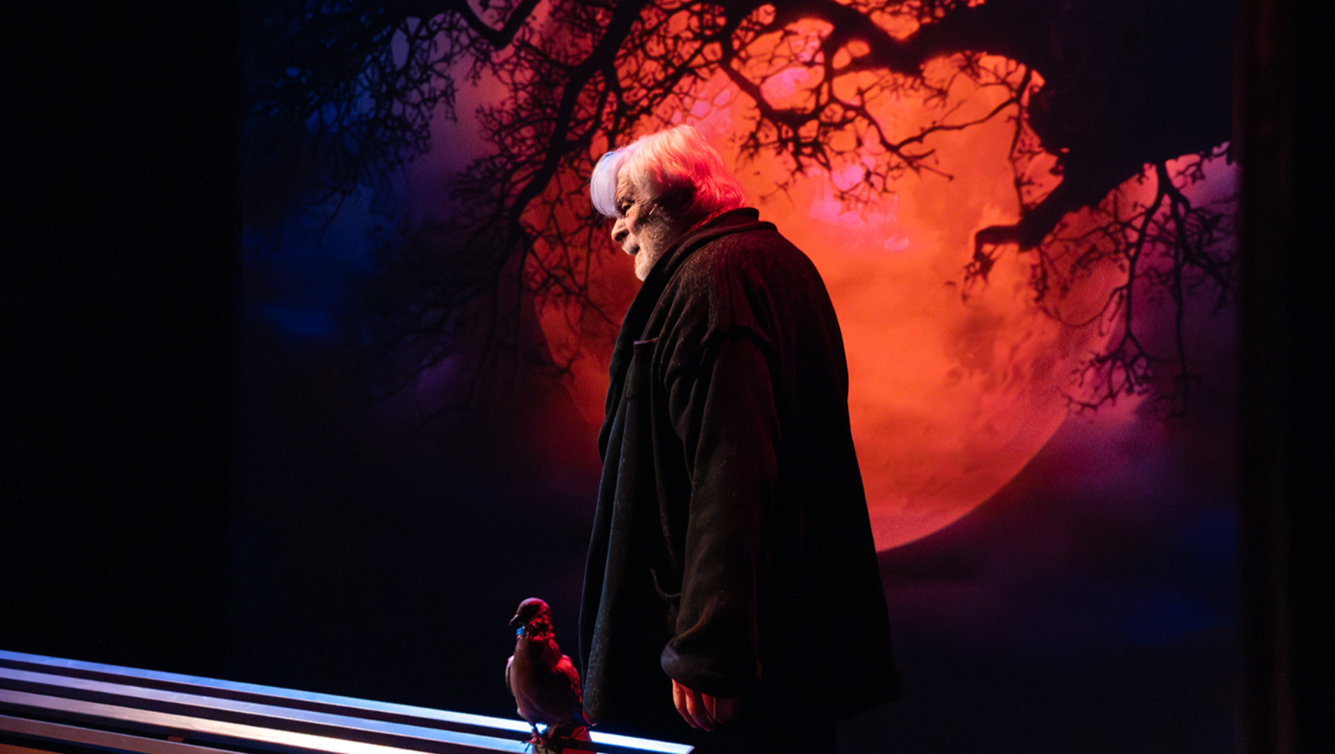 photo de scène de spectacle CYRANO, R�VER, RIRE, PASSER au Théâtre La Pépinière